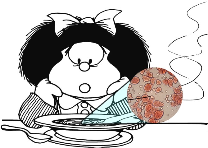 mafalda-sopa coacervados